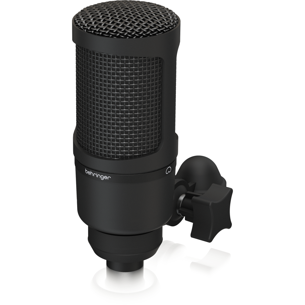 BM1 Gold-Sputtered Low-Mass Diaphragm Studio Condenser Microphone