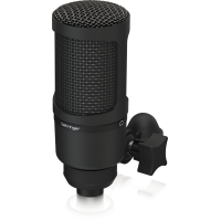 BM1 Gold-Sputtered Low-Mass Diaphragm Studio Condenser Microphone
