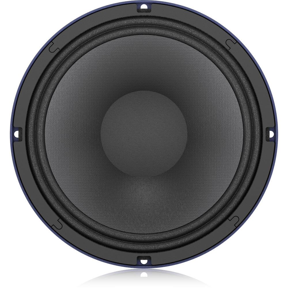 TS-10W300/8A 300W 10" Low-Frequency Loudspeaker for PA Applications