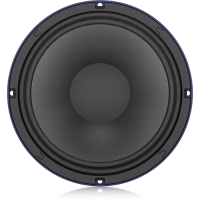 TS-10W300/8A 300W 10" Low-Frequency Loudspeaker for PA Applications