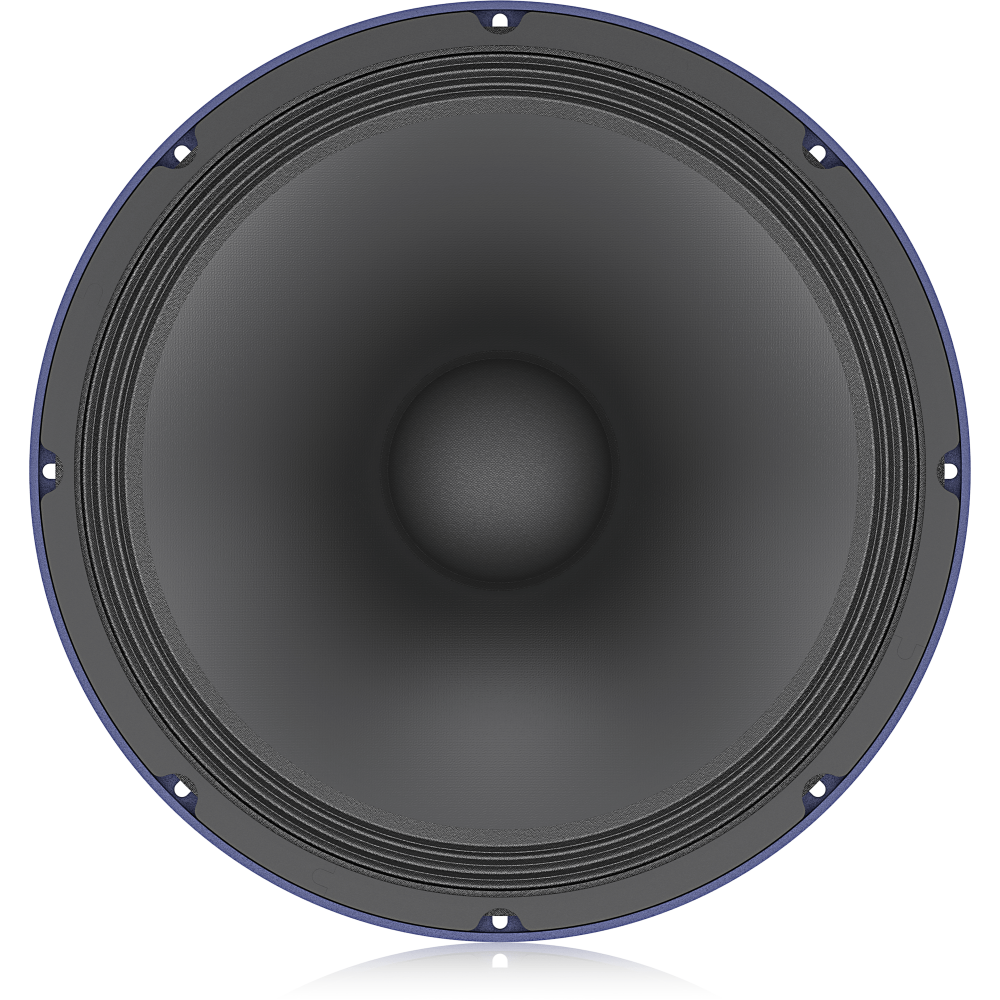 TS-15W300/8A 300W 15" Low-Frequency Loudspeaker for PA Applications