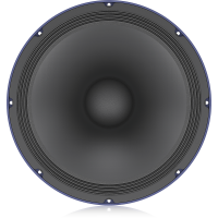 TS-15W300/8A 300W 15" Low-Frequency Loudspeaker for PA Applications