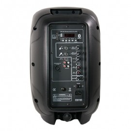 PIP PH-10A 10"  Активна Тонколона